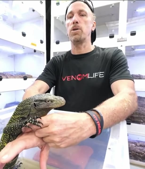 AMA with Ty Park — field herp and big-snake keeping